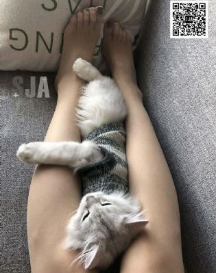 国产精品久久青青_高清完整版观看
